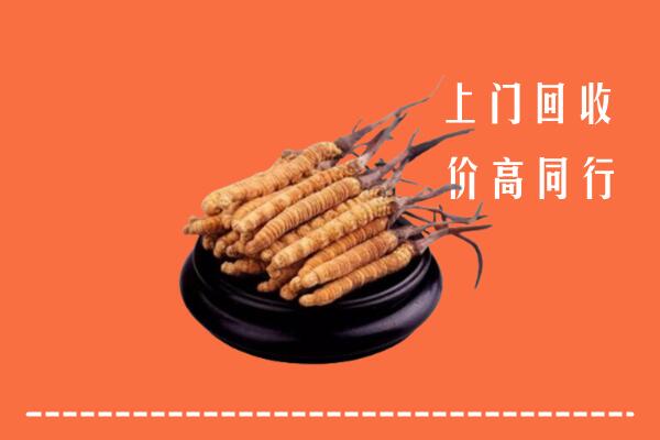 高价求购：韶关市乳源县回收散虫草